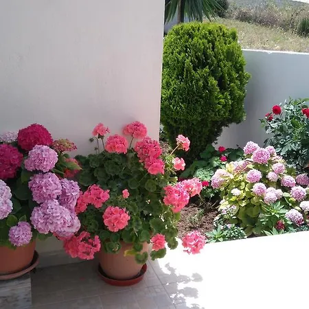 Apartment Erdeti & Sarande